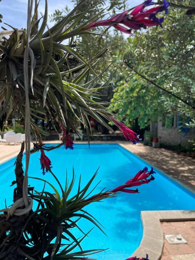 Loft Mansardato Con Giardino E Piscina In Villa Privata Loft With Garden And Swimming Pool In A Private Villa Сесту Екстер'єр фото
