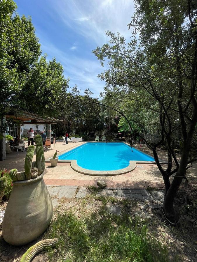 Loft Mansardato Con Giardino E Piscina In Villa Privata Loft With Garden And Swimming Pool In A Private Villa Сесту Екстер'єр фото